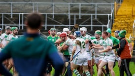 Ugly scenes mar Ballyhale Shamrocks win as spectator grapples with players