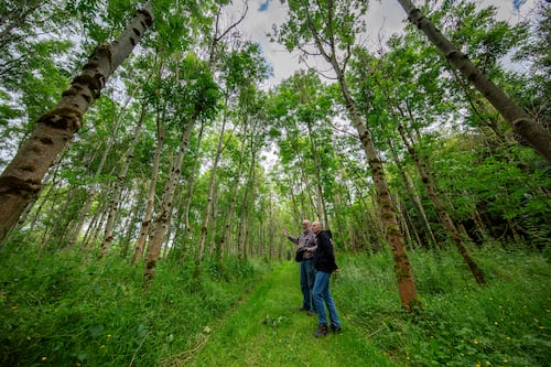 Tech, the environment and IRL networking take centre stage at Business to Arts Awards 2025