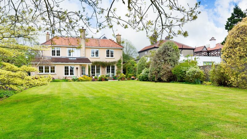 The beautiful, long back garden at Larkvale,