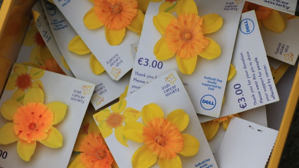 This year it’s expected that 40,000 people will be diagnosed with cancer. March 24th is Daffodil Day. Photograph: Nick Bradshaw