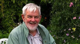 Engaging and influential university teacher who studied the ‘cute hoor’ culture