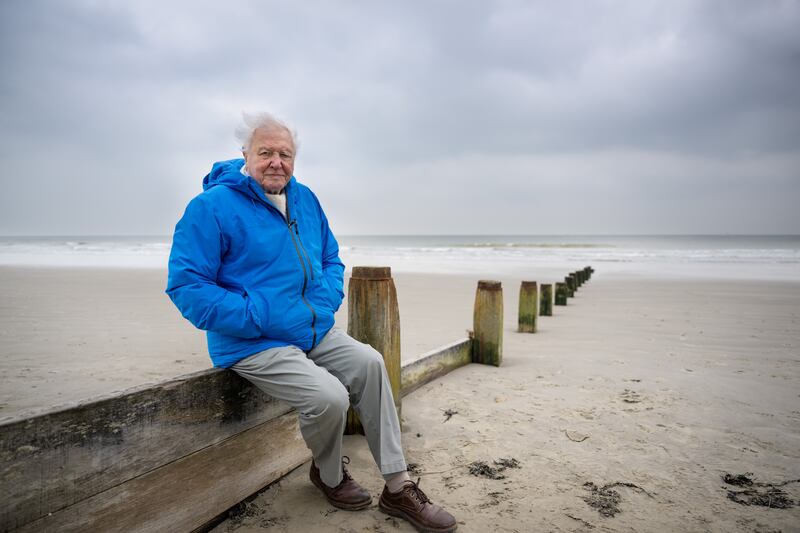 Ocean with David Attenborough. Photograph: Conor McDonnell/Silverback Films/Open Planet