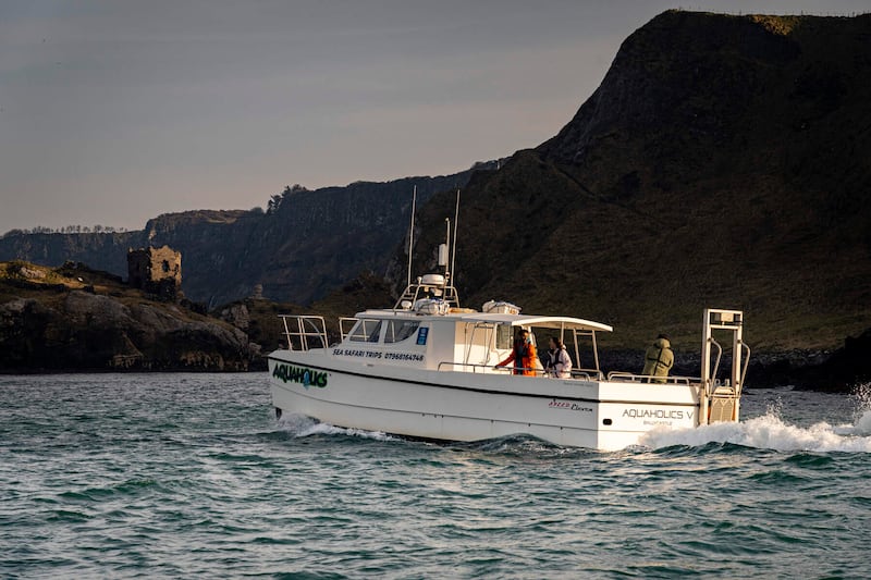 Kids will be kept entertained as they look out for dolphins, whales and even basking sharks. Photograph: Rob Durston/Tourism Northern Ireland