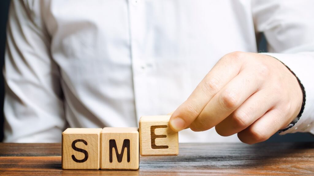 Around 99.8 per cent of Irish firms are SMEs and boosting productivity levels amongst them is critically important. Photograph: iStock