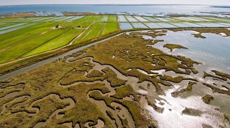 Aerial view of rice fields and marshes along the Sado river. Comporta, Alentejo, Portugal