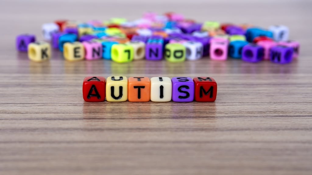 The extra cost to families for a child with autism runs to more than €28,000 annually due to the expense of private therapy, lost income and informal care, according to a new study.