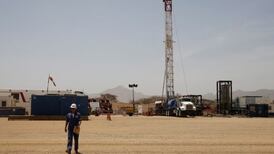 Total and Tullow launch joint sale of stakes in Kenyan oil project