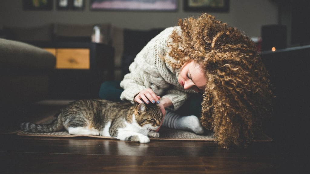‘He had sent a lease but it had no mention of cats and I didn’t sign it as we changed the rental price. I needed to wait for him to send an updated lease. Then he sent it and I saw the ‘no cats’ clause,’ reader Suzanne writes. Photograph: iStock