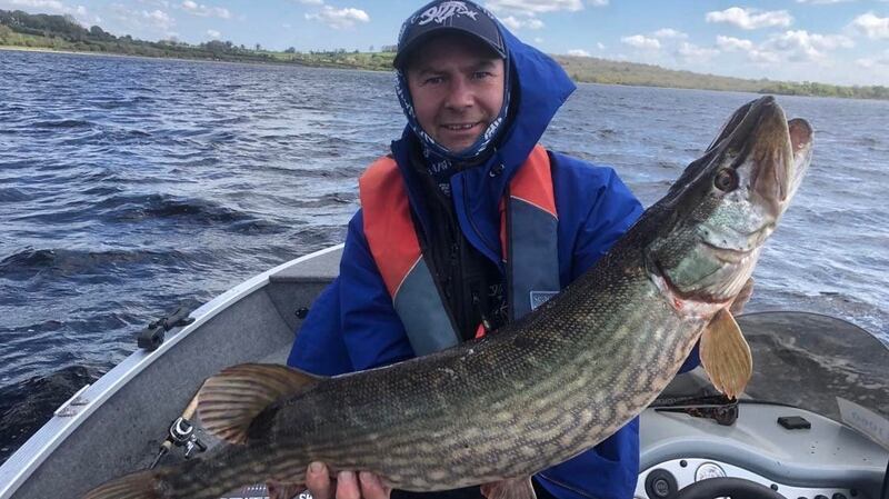 One of five pike totalling 479cm, sufficient to win the Sukre competition for Laimonas Stoskas and Nerijus Jankunas on Lough Ree during the Dungannon-based Sharp Hook Angling Club competition.