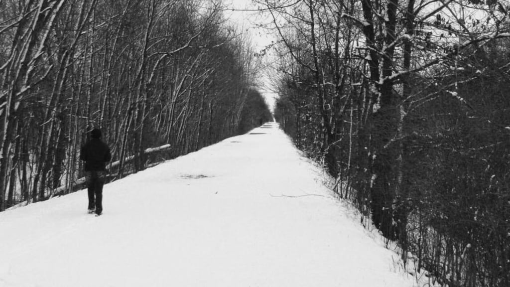 ‘If there’s enough of it, snow makes anywhere seem like a dream’