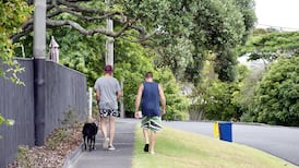 New Zealand restricts visas in ‘Kiwis-first approach to immigration’