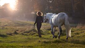 Girl who fell from horse she owned settles case against riding centre for €145,000
