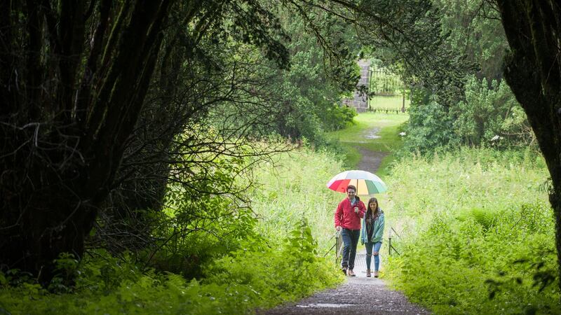 Rossmore Forest Park. Photograph: Monaghan Tourism