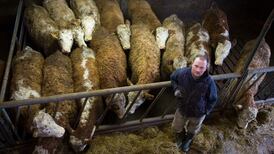 Farmers urged to reach out to friends during fodder crisis