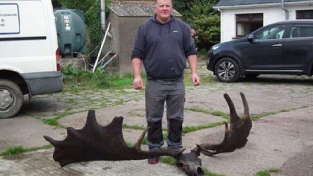 Raymond McElroy pictured with the antlers and skull of an ancient Irish elk. Photograph: Ardboe Gallery, Facebook