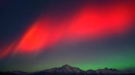 Ask Joan: Legoland, getting to the Azores and cruising the Northern Lights