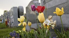 Ireland’s official coronavirus death toll likely to have been overstated, report finds