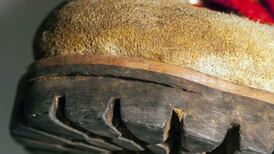 Robot cockroach could be used in rescue missions