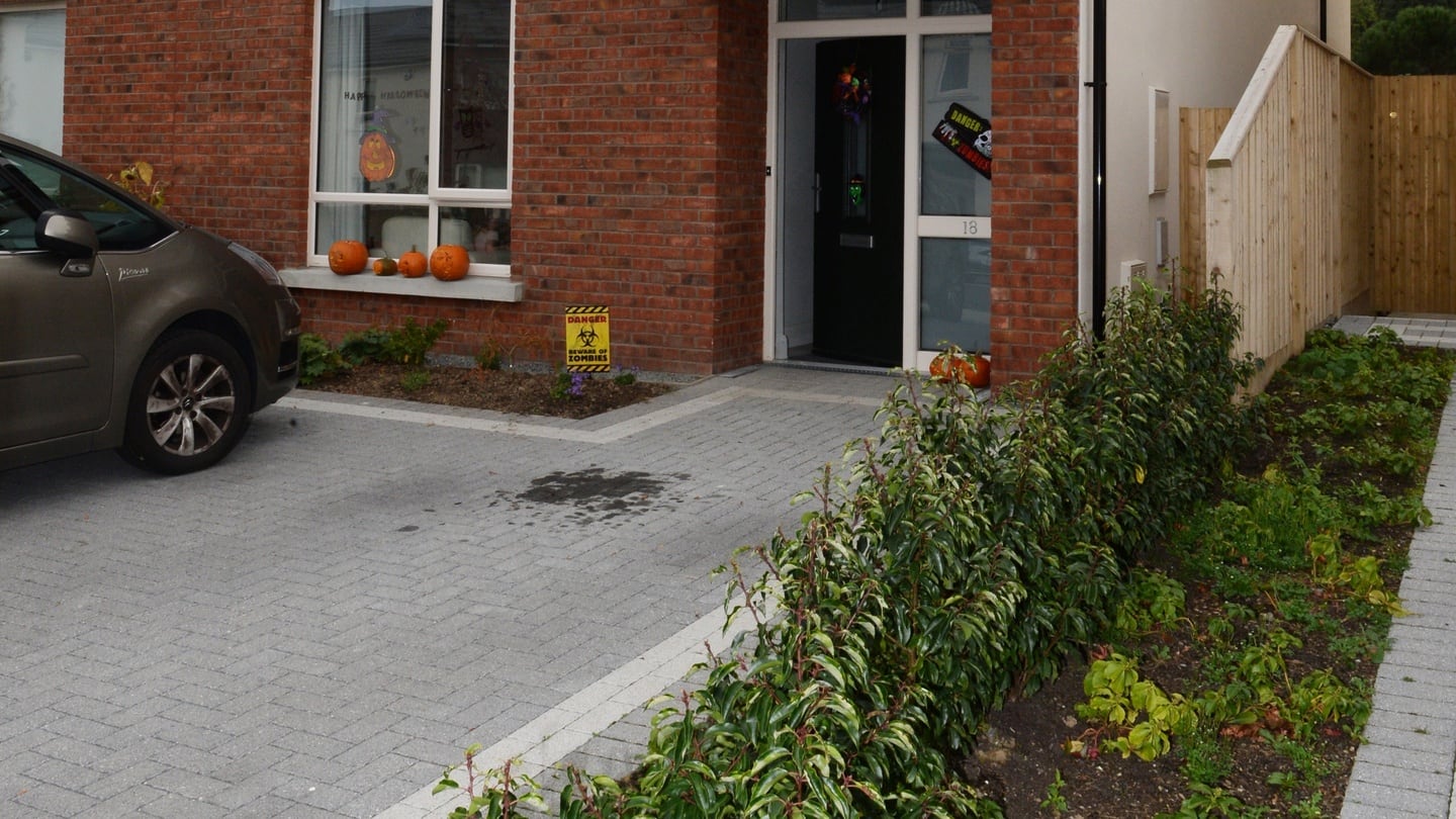 The Moloneys’ five-bedroom house in Stepaside at Halloween: “We felt like we were at a festival abroad. All the families were out on the street”