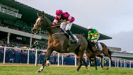 Notebook proves jumping is the name of the game in Leopardstown