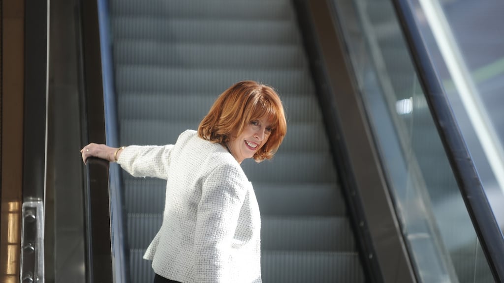 Róisín Shorthall had stated her objection to the apartment development near Poppintree industrial estate. Photograph: Aidan Crawley