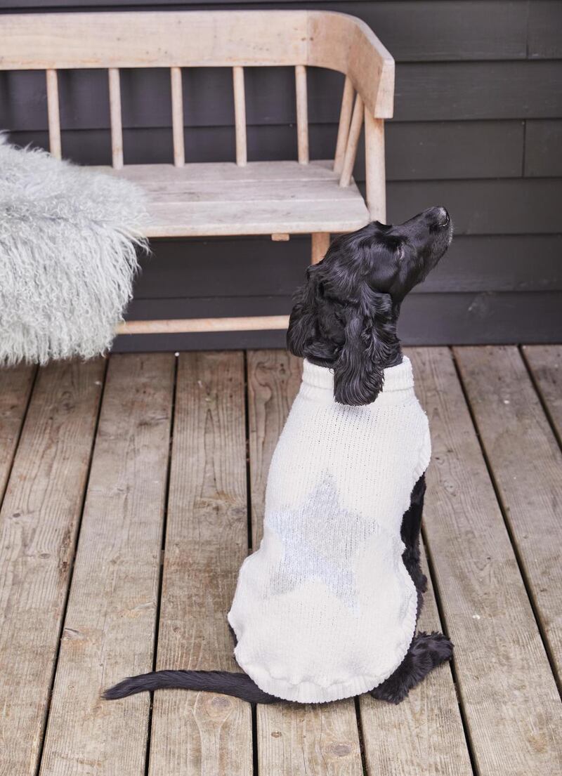 Star dog jumper from the White Company