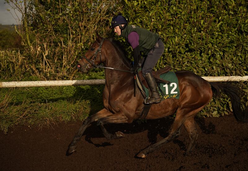 Gentleman De Mee on the gallops during a visit to Willie Mullins' yard at Closutton in Co Carlow