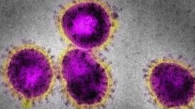 Current restrictions may ‘not be sufficient’ to curb spread of Covid-19, warns Nphet