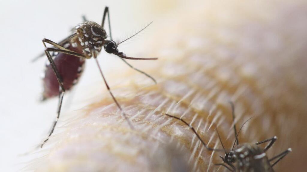 The retired soldier claims he suffered and continues to suffer serious personal injuries, loss and damage following the use of the anti-malaria drug Lariam. Photograph: Getty Images/iStockphoto