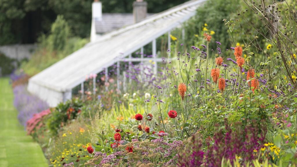 Look after your lawn.