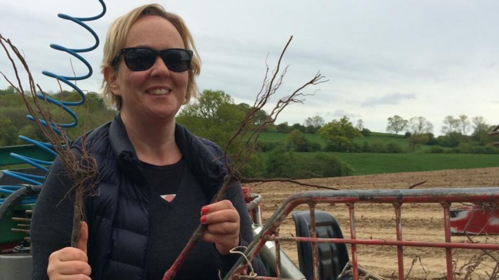 ‘I have come to study wine. London feels like the centre of the world; winemakers and critics congregate here.’