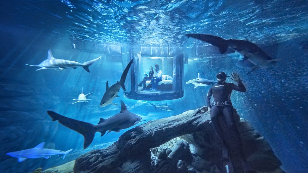 Observation pod/bedroom in the shark tank at the Paris Aquarium