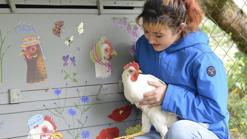 Hazel Hopkinson and her family’s painted henhouse