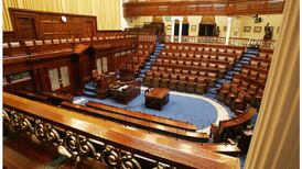 Daíl’s newest intake deeply frustrated by its straitjacket