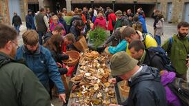 A world of wonder beneath our feet