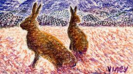 Another Life: Not just for gourmets – why truffles are good for gardeners