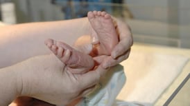 Review of maternity services in west and north-west suspended