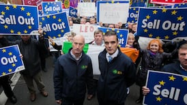 EU report findings support Brazilian meat ban, says IFA