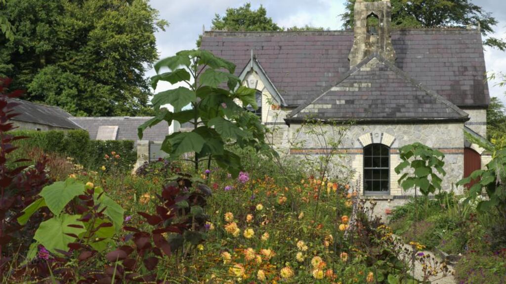 June Blake’s exciting, contemporary garden in County Wicklow. Photographs: Richard  Johnston