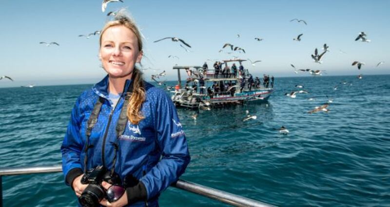 Alison Towner is a marine biologist at Dyer Island Conservation Trust, South Africa