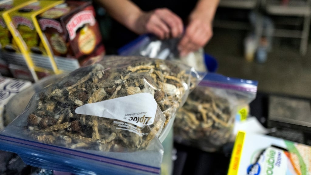 Denver will become the first U.S. city to decriminalise the use of psilocybin, the psychedelic substance in ‘magic mushrooms.’ Photograph: AP Photo/Richard Vogel