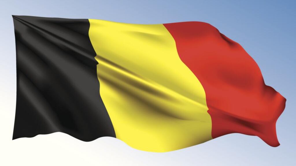 “About 2,000 Belgians came, many settling on the fringes of Dublin in such places as Bray, Balrothery, and Dunshaughlin. Further south, in Wexford, they included a community of monks”