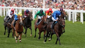 Paddy Power owner says no-deal Brexit could mean fewer horses at race meetings