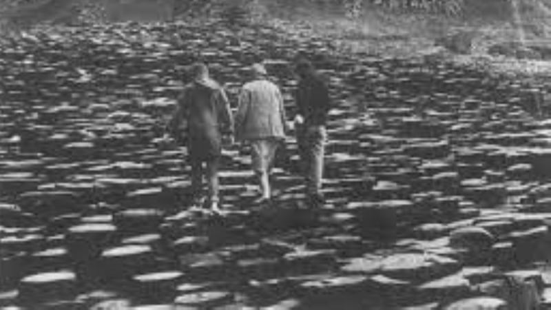 Maeve’s title character’s insistence “men’s relationship to women is just like England’s relationship to Ireland’’ frames the film as part of international reckoning with imperialism.