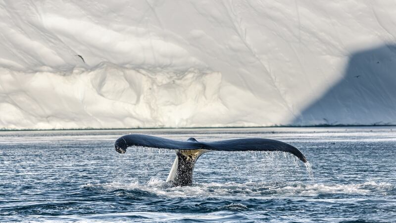 Breaking Boundaries: The Science of Our Planet