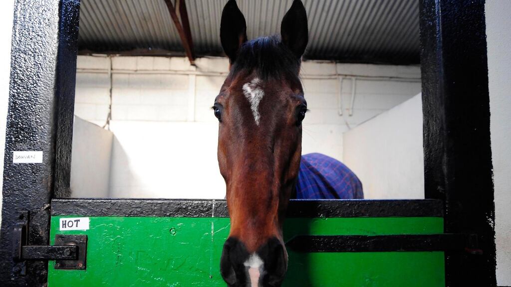 The brilliant Douvan is set for Champions Chase glory at Cheltenham on Wednesday. Photograph: PA