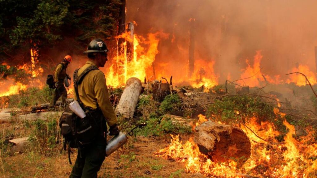 Firefighters are still battling to contain the blaze in Yosemite National Park. Photograph: Mike McMillan/USFS handout