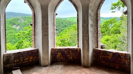 Glen of the Downs conservation scheme hit by vandals before plaster dries