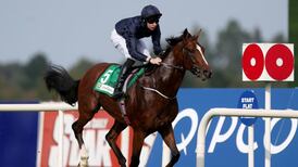 Epsom Derby favourite John F Kennedy in line for Leopardstown start