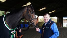 Constitution Hill ruled out of Champion Hurdle defence at Cheltenham Festival